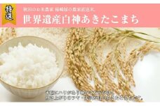 令和6年産 米 秋田県産 あきたこまち 10kg お米専門農家だからできる こだわりの産地直送米 白米 精米 こめ お米 おこめ 令和6年 産地直送 ご飯 ごはん 秋田こまち 秋田 秋田県 能代市