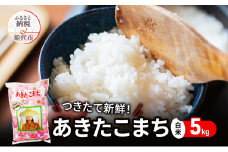白米 ★つきたて新鮮★ うまい!! 本場のあきたこまち 5kg 精米 ご飯 ブランド米 おにぎり 令和6年産 産地直送 おこめ ごはん 秋田県 秋田 能代市