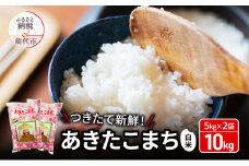 白米 ★つきたて新鮮★ うまい!! 本場のあきたこまち 10kg（5kg×2袋） 精米 ご飯 ブランド米 おにぎり 令和6年産 産地直送 おこめ ごはん 秋田県 秋田 能代市