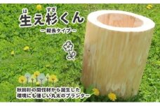 里山くらし応援 木工品 秋田杉の丸太プランター「生え杉くん（はえすぎくん）」縦長タイプ