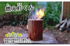 里山くらし応援 木工品 秋田杉のスウェーデントーチ「燃え杉くん（もえすぎくん）」