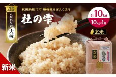 新米 米 お米 【玄米】秋田県産 あきたこまち 10kg×1袋 あきた種梅産こまち 杜の雫 こだわりの大粒 令和6年産