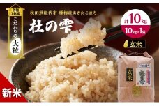 玄米 秋田 あきたこまち 杜の雫 10kg 1袋 秋田県産 米 お米 こだわりの大粒 種梅産 精米 ご飯 ブランド米 大粒 おにぎり 令和7年産 新米 産地直送 送料無料 おこめ ごはん 秋田県