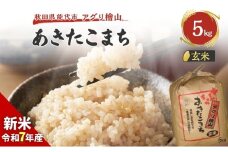 【新米先行予約】玄米 令和7年 秋田県産 あきたこまち 5kg 新米 米 お米 おこめ こめ コメ 令和7年産 ブランド米 ご飯 秋田 秋田県 能代市
