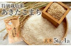 米 お米 玄米 特別栽培米 あきたこまち 5kg 秋田県産 令和6年産