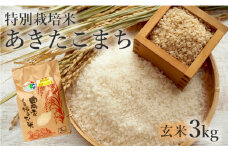 米 お米 玄米 特別栽培米 あきたこまち 3kg 秋田県産 令和6年産