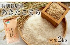 米 お米 玄米 特別栽培米 あきたこまち 2kg 秋田県産 令和6年産