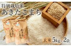 米 お米 玄米 特別栽培米 あきたこまち 10kg 5kg×2袋 秋田県産 令和6年産