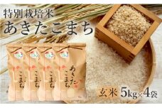 米 お米 玄米 特別栽培米 あきたこまち 20kg 5kg×4袋 秋田県産 令和6年産