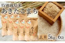 米 お米 玄米 特別栽培米 あきたこまち 30kg 5kg×6袋 秋田県産 令和6年産