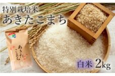 米 お米 白米 特別栽培米 あきたこまち 2kg 秋田県産 令和6年産