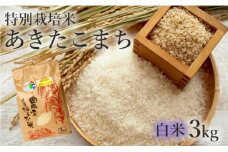 米 お米 白米 特別栽培米 あきたこまち 3kg 秋田県産 令和6年産