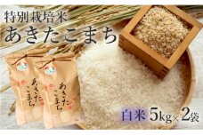 米 お米 白米 特別栽培米 あきたこまち 10kg 5kg×2袋 秋田県産 令和6年産