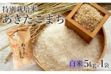 米 お米 白米 特別栽培米 あきたこまち 5kg 秋田県産 令和6年産