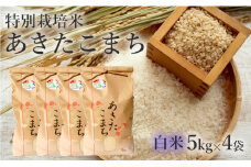 米 お米 白米 特別栽培米 あきたこまち 20kg 5kg×4袋 秋田県産 令和6年産
