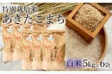 米 お米 白米 特別栽培米 あきたこまち 30kg 5kg×6袋 秋田県産 令和6年産