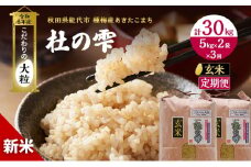 新米 米 お米 《定期便3ヶ月》【玄米】秋田県産 あきたこまち あきた種梅産こまち 杜の雫 こだわりの大粒 10kg（5kg×2袋）×3回 合計30kg