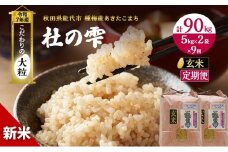 新米 米 お米 《定期便9ヶ月》【玄米】秋田県産 あきたこまち あきた種梅産こまち 杜の雫 こだわりの大粒 10kg（5kg×2袋）×9回 合計90kg 