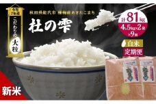 新米 米 お米 《定期便9ヶ月》【白米】秋田県産 あきたこまち あきた種梅産こまち 杜の雫 こだわりの大粒 9kg（4.5kg×2袋）×9回 合計81kg 