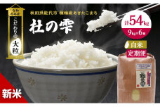 新米 米 お米 《定期便6ヶ月》【白米】秋田県産 あきたこまち あきた種梅産こまち 杜の雫 こだわりの大粒 9kg×6回 合計54kg