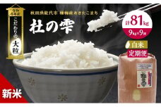 新米 米 お米 《定期便9ヶ月》【白米】秋田県産 あきたこまち あきた種梅産こまち 杜の雫 こだわりの大粒 9kg×9回 合計81kg