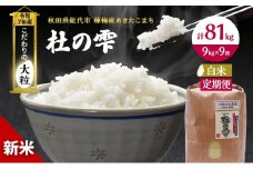 新米 米 お米 《定期便9ヶ月》【白米】秋田県産 あきたこまち あきた種梅産こまち 杜の雫 こだわりの大粒 9kg×9回 合計81kg 