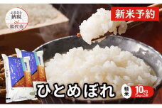【先行予約】 令和7年産 ひとめぼれ 精米 10kg（5kg×2袋） 秋田県産 お米 米 ごはん ご飯 単一原料米