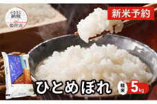 【先行予約】 令和7年産 ひとめぼれ 精米 5kg 秋田県産 お米 米 ごはん ご飯 単一原料米