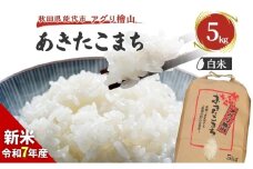 【新米先行予約】新米 令和7年 秋田県産 あきたこまち 5kg 精米 白米 米 お米 おこめ こめ コメ 令和7年産 ブランド米 ご飯 秋田 秋田県 能代市
