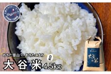 白米 精米 あきた栗山 大谷米 あきたこまち 4.5kg 令和6年産 秋田県産 あきたこまち オータニファーム