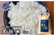 精米 あきた栗山 大谷米 あきたこまち 9kg 秋田県産 あきたこまち オータニファーム 令和6年産 