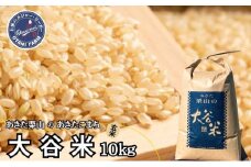 玄米 あきた栗山 大谷米 あきたこまち 10kg 秋田県産 あきたこまち オータニファーム 令和6年産 