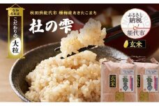 新米 米 お米 《定期便8ヶ月》【玄米】秋田県産 あきたこまち あきた種梅産こまち 杜の雫 こだわりの大粒 10kg（5kg×2袋）×8回 合計80kg
