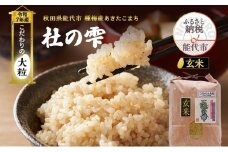 新米 米 お米 《定期便9ヶ月》【玄米】秋田県産 あきたこまち あきた種梅産こまち 杜の雫 こだわりの大粒 10kg×9回 合計90kg