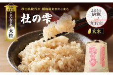 新米 米 お米 《定期便4ヶ月》【玄米】秋田県産 あきたこまち あきた種梅産こまち 杜の雫 こだわりの大粒 30kg×4回 合計120kg