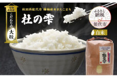 新米 米 お米 《定期便10ヶ月》【白米】秋田県産 あきたこまち あきた種梅産こまち 杜の雫 こだわりの大粒 4.5kg×10回 合計45kg