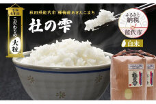 新米 米 お米 《定期便2ヶ月》【白米】秋田県産 あきたこまち あきた種梅産こまち 杜の雫 こだわりの大粒 18kg（9kg×2袋）×2回 合計36kg