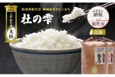 新米 米 お米 《定期便5ヶ月》【白米】秋田県産 あきたこまち あきた種梅産こまち 杜の雫 こだわりの大粒 18kg（9kg×2袋）×5回 合計90kg