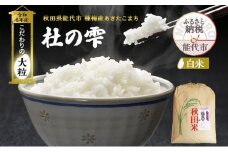 新米 米 お米 《定期便11ヶ月》【白米】秋田県産 あきたこまち あきた種梅産こまち 杜の雫 こだわりの大粒 26kg×11回 合計286kg