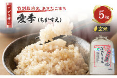 米 アグリ檜山米 愛季(ちかすえ) 玄米 5kg ( 特別栽培米 あきたこまち ) お米 おこめ こめ コメ 大粒 令和6年 令和6年産 秋田 秋田県 能代市