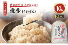 米 アグリ檜山米 愛季(ちかすえ) 玄米 10kg ( 特別栽培米 あきたこまち ) お米 おこめ こめ コメ 大粒 令和6年 令和6年産 秋田 秋田県 能代市