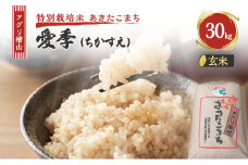米 アグリ檜山米 愛季(ちかすえ) 玄米 30kg ( 特別栽培米 あきたこまち ) お米 おこめ こめ コメ 大粒 令和6年 令和6年産 秋田 秋田県 能代市