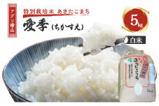 米 アグリ檜山米 愛季(ちかすえ) 白米 5kg ( 特別栽培米 あきたこまち ) 精米 お米 おこめ こめ コメ 大粒 令和6年 令和6年産 秋田 秋田県 能代市