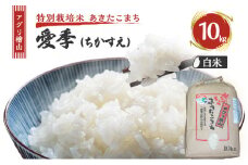 米 アグリ檜山米 愛季(ちかすえ) 白米 10kg ( 特別栽培米 あきたこまち ) 精米 お米 おこめ こめ コメ 大粒 令和6年 令和6年産 秋田 秋田県 能代市