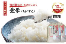 米 アグリ檜山米 愛季(ちかすえ) 白米 10kg ( 5kg × 2袋 )( 特別栽培米 あきたこまち ) 精米 お米 おこめ こめ コメ 大粒 令和6年 令和6年産 秋田 秋田県 能代市