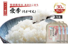 米 アグリ檜山米 愛季(ちかすえ) 白米 30kg ( 10kg × 3袋 ) ( 特別栽培米 あきたこまち ) 精米 お米 おこめ こめ コメ 大粒 令和6年 令和6年産 秋田 秋田県 能代市