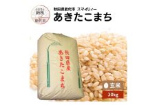 【先行予約】 令和7年産 あきたこまち 玄米 30kg 秋田県産 お米 米 ごはん ご飯 単一原料米