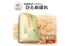 【先行予約】 令和7年産 ひとめぼれ 玄米 30kg 秋田県産 お米 米 ごはん ご飯 単一原料米
