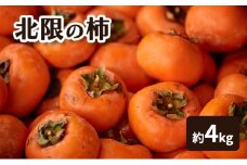 北限の柿 果物類 