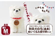 秋田犬白毛(鼻黒)ぬいぐるみ　座りＭサイズ 65P7304